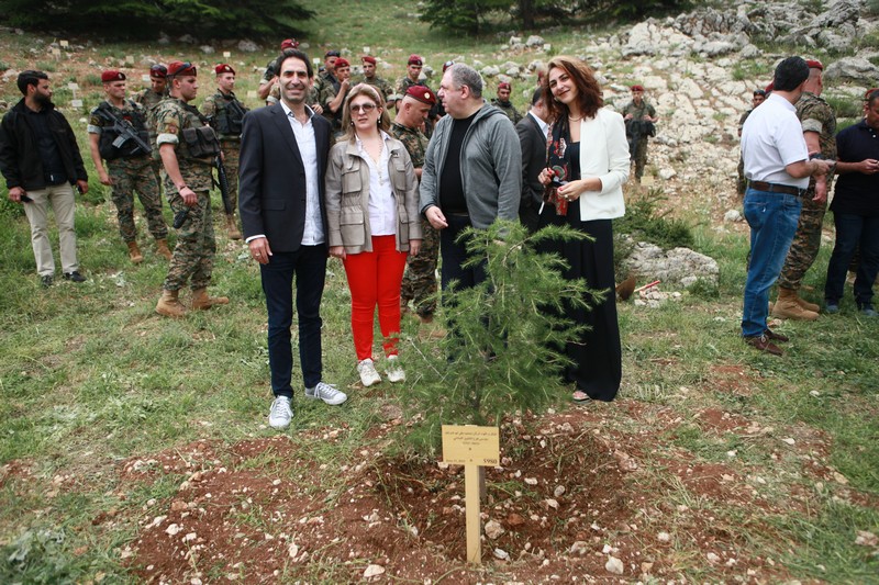 Cedar tree in memory of the Lebanese Commandos Regiment founder